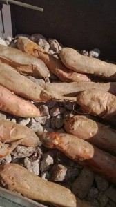 .facebook_1414239647380