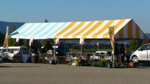 .facebook_1414239718507