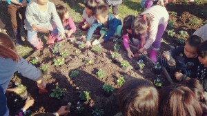 10258365_712651315479604_4631644915448137989_o