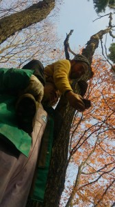 10380993_710073422404060_6703436748170160192_n