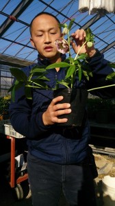 10388072_715669481844454_7918243465824123545_n