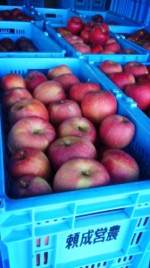 10428475_715669521844450_8102342110822114609_n