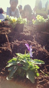 10523151_712651262146276_8104365390807205827_n