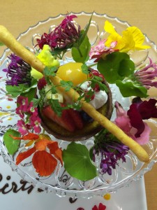 10799545_665265860258393_1084303177_n