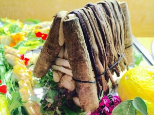 10799570_665266053591707_491922153_n