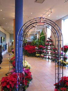 10805776_841037499261564_4322088967346238609_n