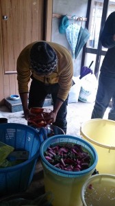 149395_710073745737361_2941294263300380428_n