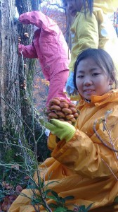 1512513_710073229070746_4019824201333410738_n