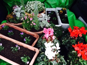 1557567_763557400403971_1526394099136981370_n