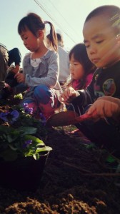 1920082_712651278812941_7540407724892127195_n