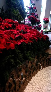 2014-11-19-19-17-27_deco