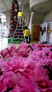 2014-11-24-15-12-38_deco