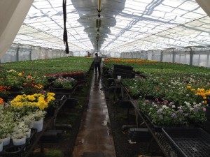 399950_450609808365400_1104682909_n