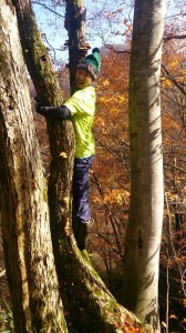 522068_710073345737401_3410122020590311211_n