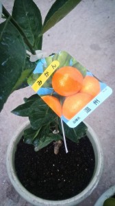 67349_709642972447105_3235657584039933526_n