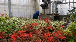 LINEcamera_share_2014-11-05-06-01-08