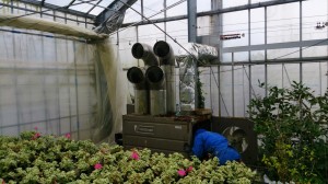 LINEcamera_share_2014-11-05-06-01-28