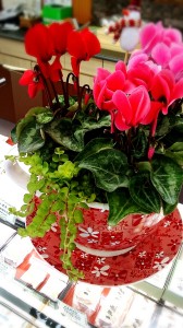 LINEcamera_share_2014-11-14-21-20-48