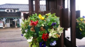 LINEcamera_share_2014-11-25-20-55-46