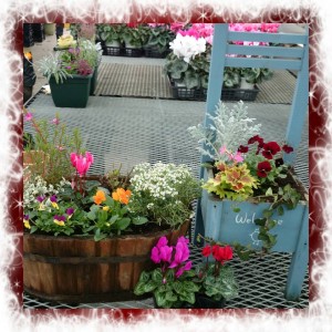 10177873_753007558125821_1392086514401916805_n