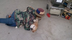 10351606_717782068299862_7541375552474198394_n