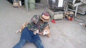 10389425_717782051633197_4633399683986450829_n