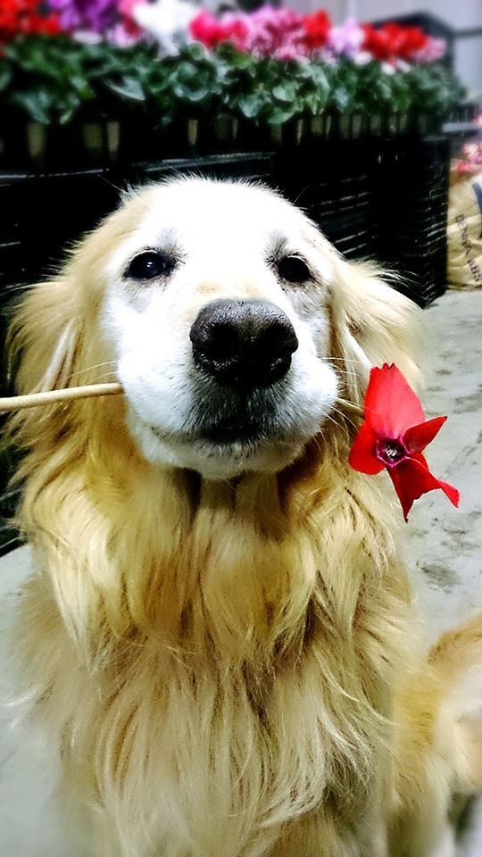 深夜の出荷準備