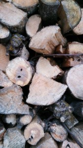 10841495_730122477065821_1856539065_n