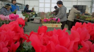 10847287_726933384051397_8359784732477513968_o