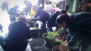 10866211_730577277020341_8529190961838853621_o