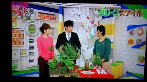 10873571_729476970463705_3356110388201985904_o