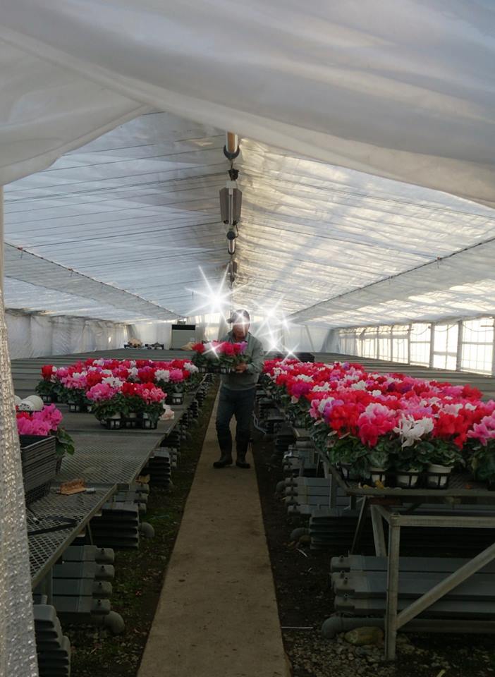 父ちゃんの友情