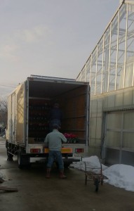 10884422_732438590167543_2110447061_n