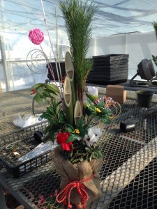 10891703_413891038773919_5690034809896966666_n