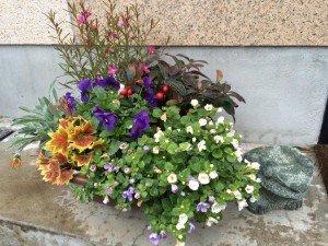 1557682_681684155283684_6049606164083634302_n