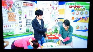 1966692_729482650463137_5725123619888883145_n