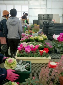 2014-12-16-06-25-38_deco