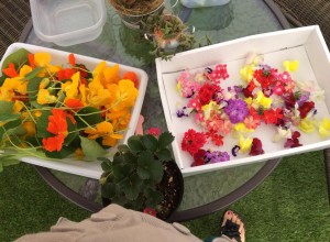 10383577_671316829605793_6606425997855610012_n