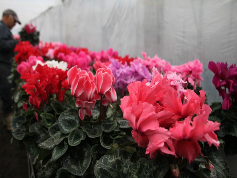 元従業員さんのご来園♪