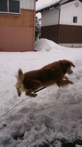 10521728_747047248706677_2172158230186378324_n