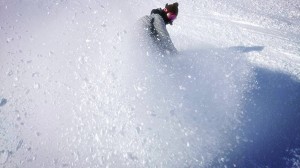 10915669_749985941746141_8917324407159047354_o