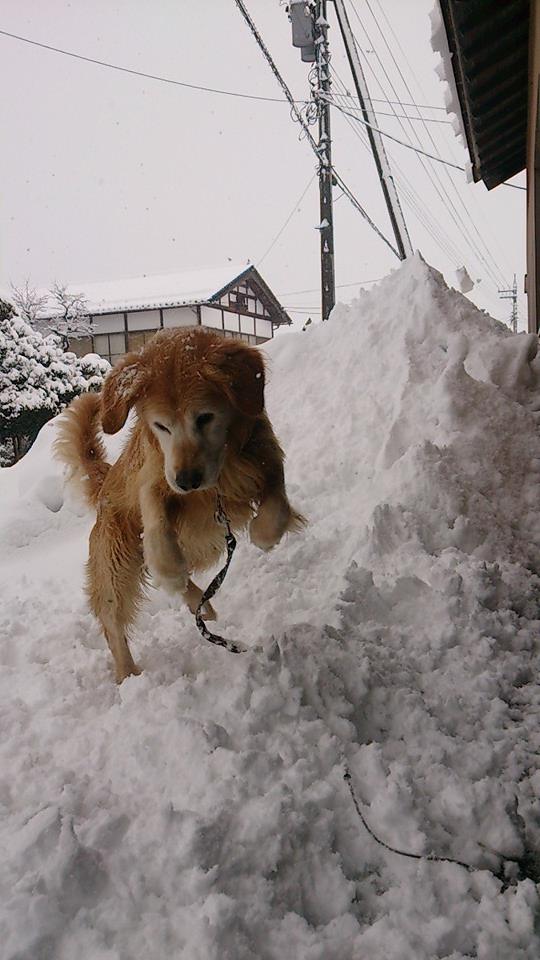 地球を守る英雄？？