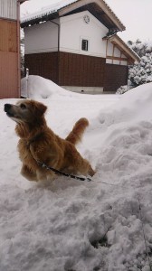 10930031_747044748706927_4723845266030919628_n