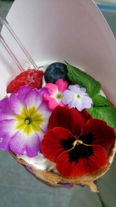 10933842_752826558128746_5225623654661271325_n