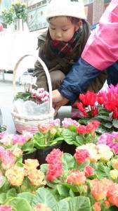 10937715_753320561412679_1437430629_n