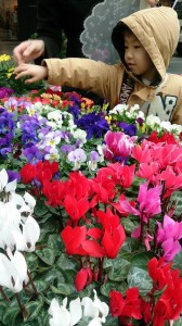 10947865_753320581412677_1853551730_n