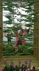 10952133_752722174805851_2427212211224087425_n