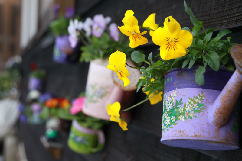 寒い時期の癒し