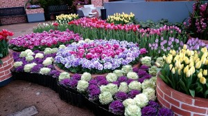 LINEcamera_share_2015-01-17-09-53-41