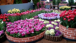 LINEcamera_share_2015-01-17-09-59-05